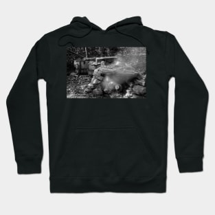 Moonshine Still in Black and White Hoodie